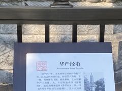 -西泠印社