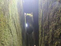 -乌山风景区