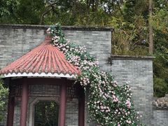 -深圳国际园林花卉博览园