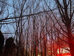 -辽东学院(南校区)