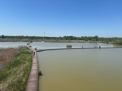 -盐城丹顶鹤湿地生态旅游区