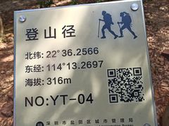 -梧桐山风景名胜区