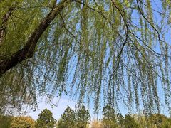 -九里河湿地公园