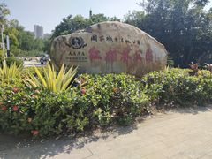 -大亚湾红树林城市湿地公园