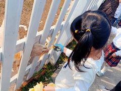 -前小桔亲子创意农场·草莓采摘·露营烧烤