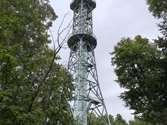 -汤旺河林海奇石景区
