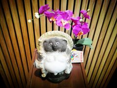 大堂-笑福亭料理小馆(解放碑店)