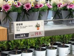 -鹿岛生活(熙地港店)