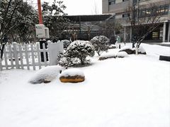 -金陵中学(河西分校)