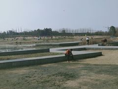 -两河城市森林公园