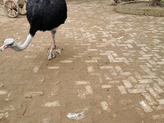 -武汉紫薇都市田园