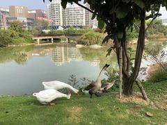 -厦门悦华酒店