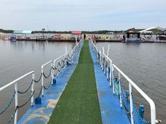 -呼兰河口湿地公园