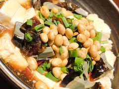 -老板恋上鱼(高新万达店)
