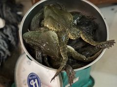 -金海椒罐罐鲢鱼(东方桂苑店)