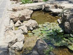-青州古城