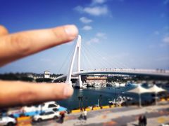 台北101大楼-台北101