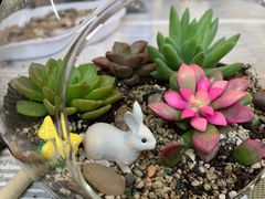 -森野花艺培训·企业团建活动沙龙