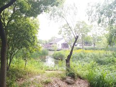 -尚贤河湿地