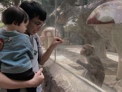 -泉州海丝野生动物世界