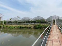 -马陆小张葡萄园农家乐