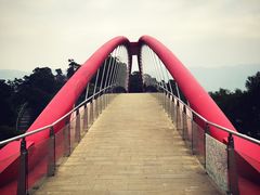 -金鸡山公园