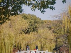 -堤角公园