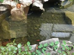 -苏州冠云大酒店