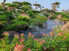 -罗红摄影艺术馆