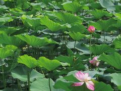 -云龙湖旅游景区