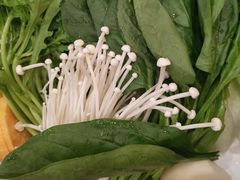 蔬菜拼盘-蝎王府羊蝎子(北大地店)