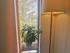 -朵朵开素食餐厅(后宰门街店)