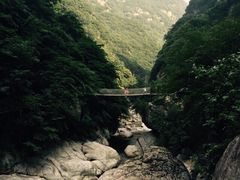 红河谷森林公园-陕西省红河谷森林公园