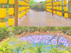 -水王国温泉水世界