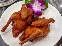 -鸽鸟轩(石岐店)