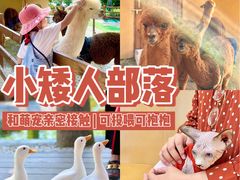 -珠海海泉湾神秘岛亲子乐园