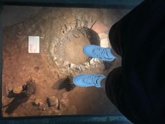 -南越王博物院(王宫展区)