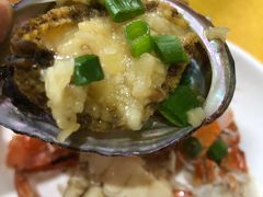 -澳门环岛游湾仔码头