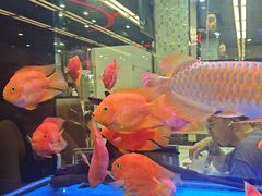 -新辉港式茶餐厅(北栅店)