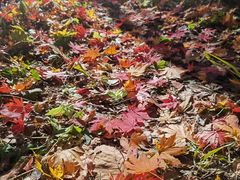 -本溪老边沟风景区