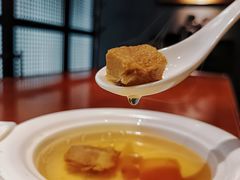 -觀芷隐轩