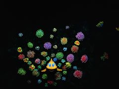 -珠海长隆海洋王国