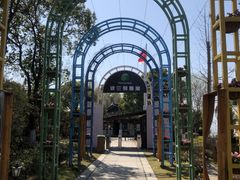 -金山农民画村-枫泾波兰倒置屋