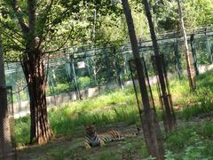 -秦皇岛野生动物园