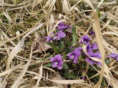 -青岛大学路小学