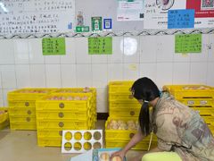 -老袁家蜜桃农场·阳山水蜜桃