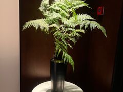 -子福慧(虹桥店)