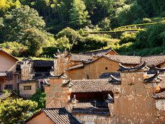 -杨家堂村