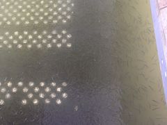 -白塘生态植物园