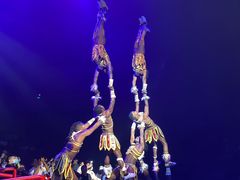 -广州长隆国际大马戏